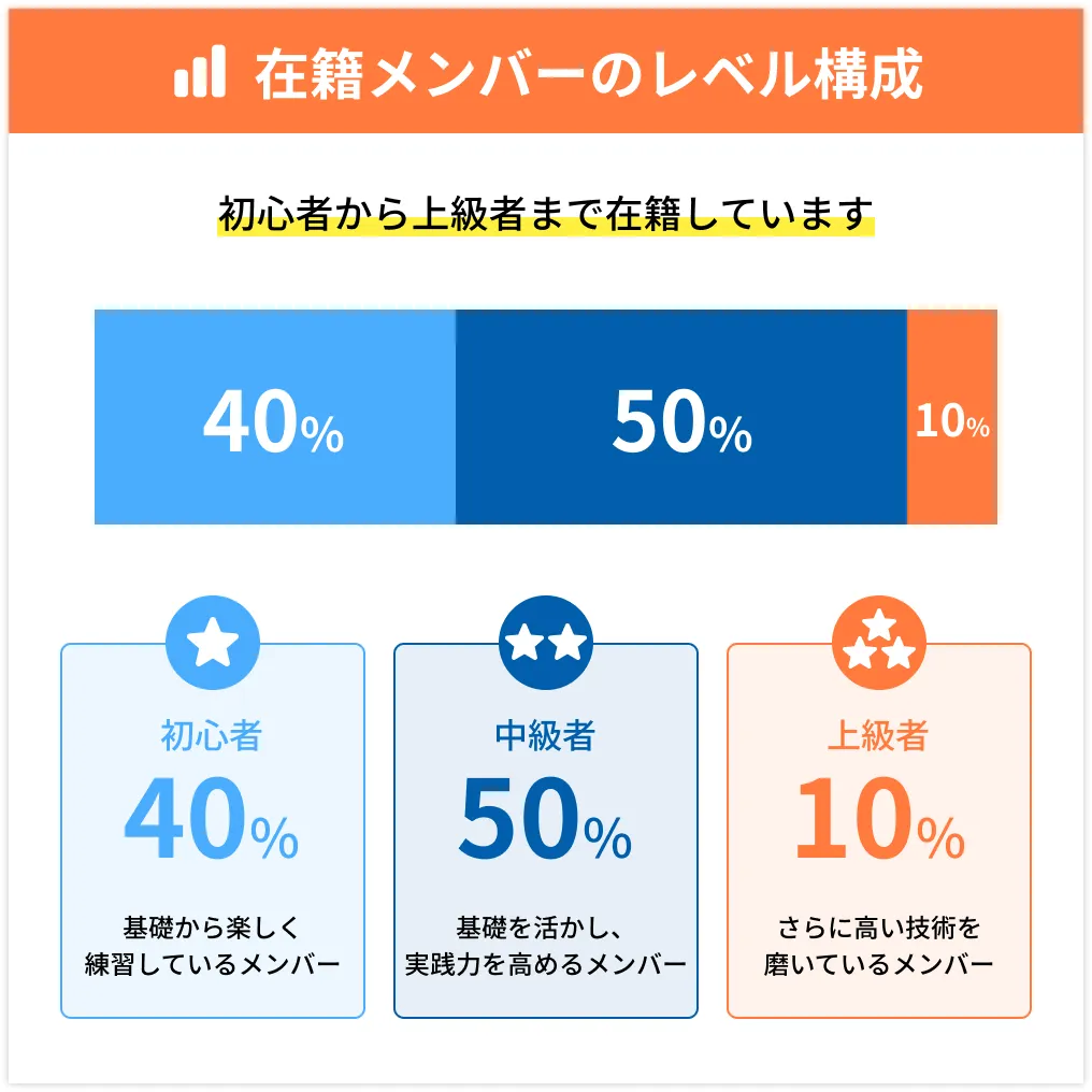 在籍メンバーのレベル構成